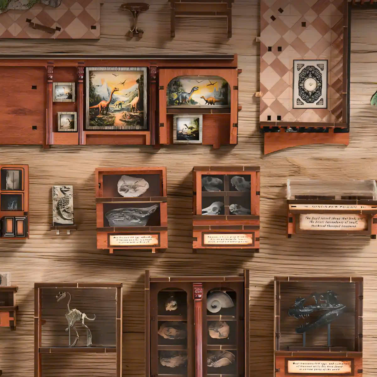 Fossil Museum - Hình ảnh 5